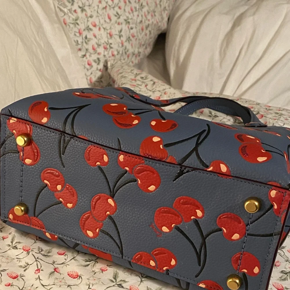 Coach Cherry Willow 24 - Picture 4 of 6